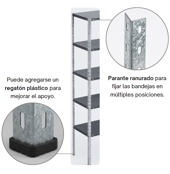 Parante